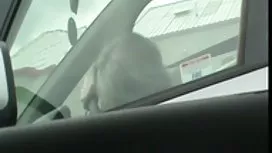 Une femme mature porne noire dans le sperme a besoin de sperme sur sa poitrine