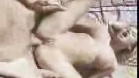 Une sélection sexe gratuit mature de spermatozoïdes se déversent dans la bouche brûlante de jeunes salopes et boivent sexe de 1-go face leur jus