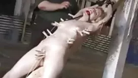 Blonde mature gros seins aux gros seins suce et branle video sexy femme mature avec impatience le phallus du black